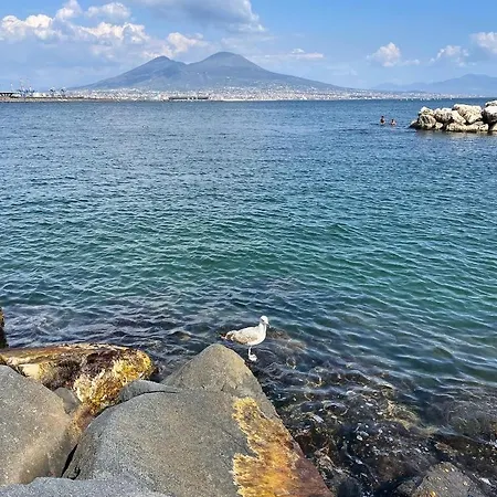 بيت للعطل Paradise